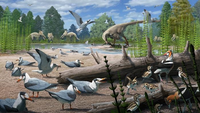 Chaque printemps, des millions d’oiseaux migrateurs retrouvent les toundras de l’Alaska