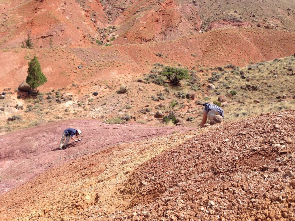 2016 field photo 1