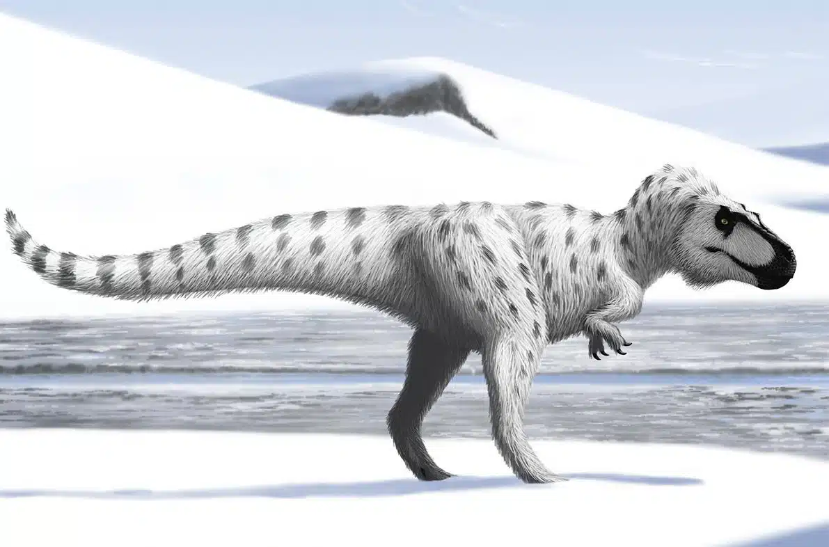 Dinosaure en antarctique