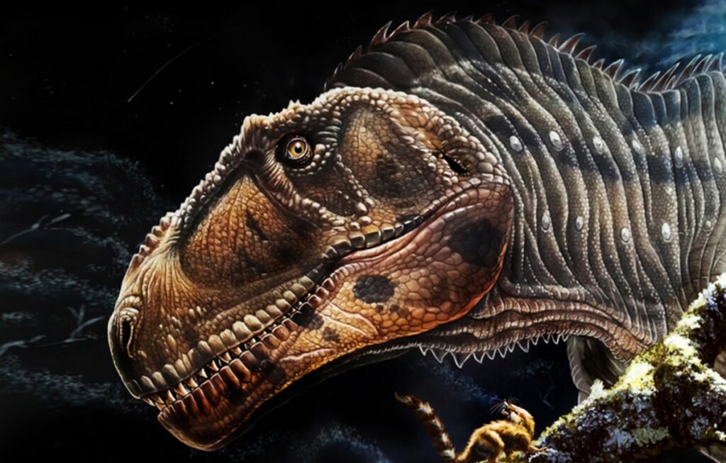 Dinosaure carnivore géant : Meraxes gigas