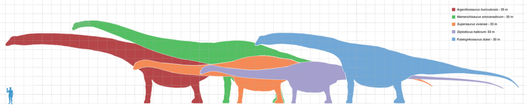 longest dinosaurs1 1