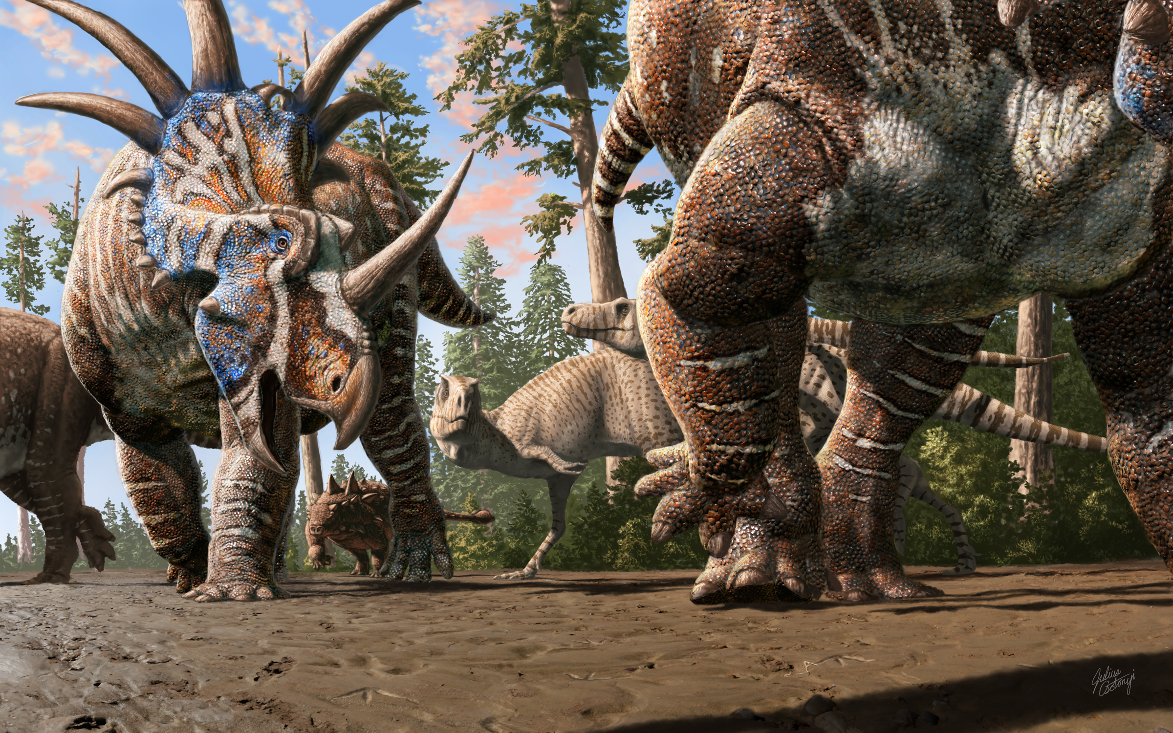 trackway artwork low res. credit julius csotonyi