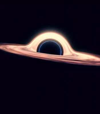 44935042